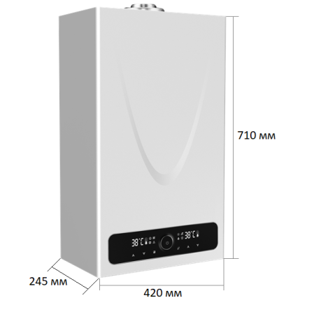 Газовый котёл BellaGas Premium 24.2, секционная горелка, с дымоходом 60/100